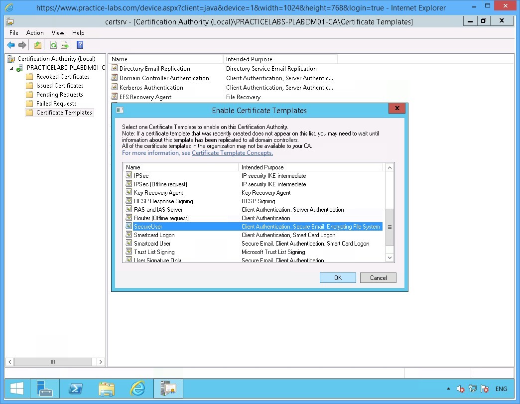 Practice Labs screenshot.